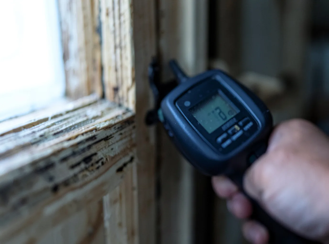 Ceiling Water Damage Repair in Hector, MN